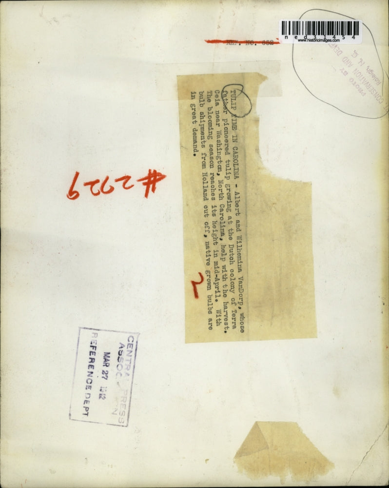 1942 Press Photo Albert and Wilhemina VanDorp whose father pioneered tulip