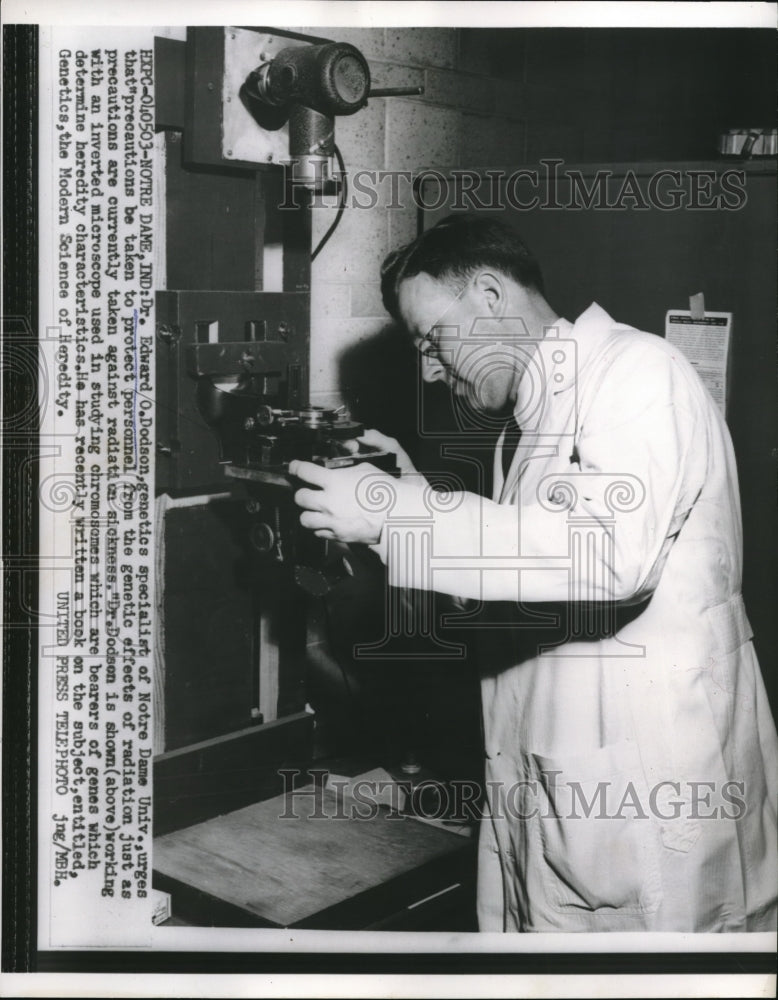 1956 Press Photo Notre Dame Dr Edward O Dodson genetics specialist of Notre Dame