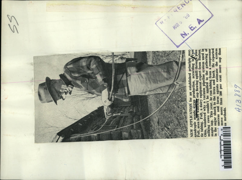 Load image into Gallery viewer, 1969 Press Photo Quadruple maple syrup production according to Vern Foft

