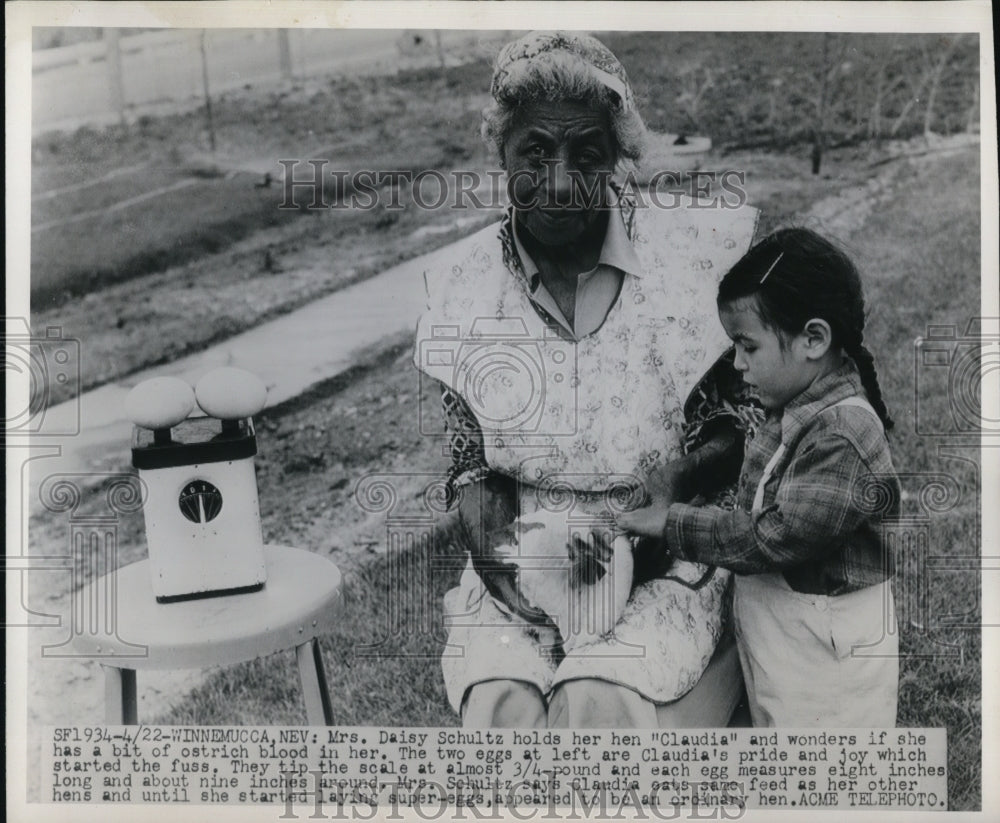 1949 Press Photo Mrs Daisy Schultz holds her hen "Claudia" and wonders