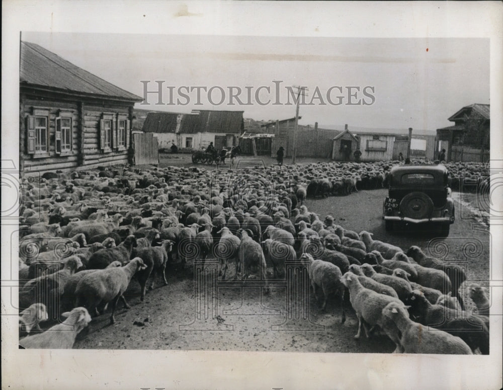 1941 Press Photo Sheep fold in the Kalinin Collective Farm in Siberia.