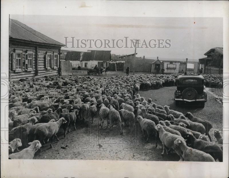 Load image into Gallery viewer, 1941 Press Photo Sheep fold in the Kalinin Collective Farm in Siberia.
