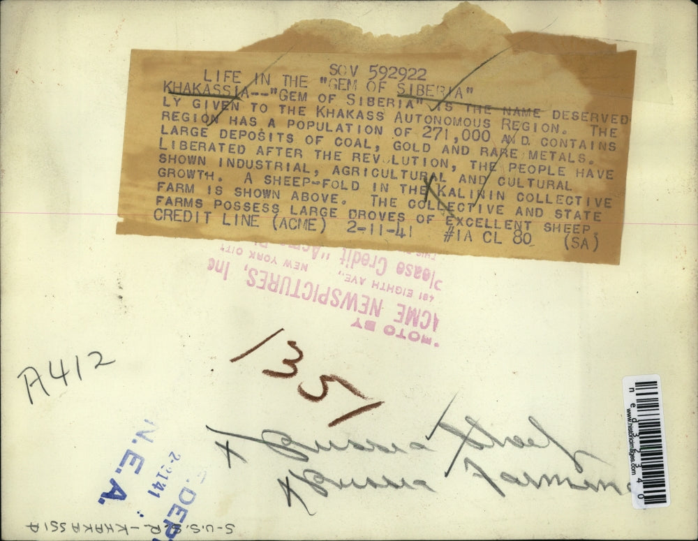 1941 Press Photo Sheep fold in the Kalinin Collective Farm in Siberia.