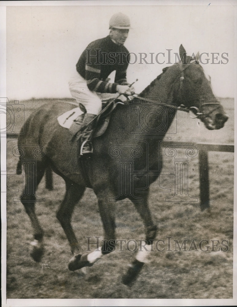 1938 Press Photo Batchelor Prince favorite and one of the entries in the Grand