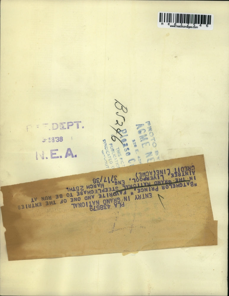 1938 Press Photo Batchelor Prince favorite and one of the entries in the Grand