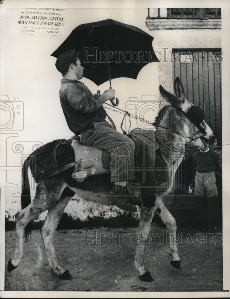 1957 Press Photo Proud portugeese farm workers with convertibles