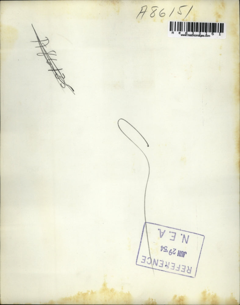 1954 Press Photo Seymour Zimmerman served shis kebabs by cafe owner Jack Michel