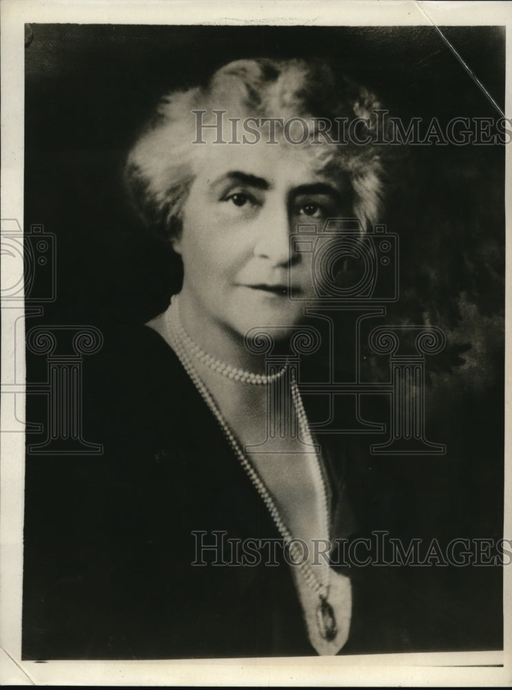 Load image into Gallery viewer, 1930 Press Photo The friends of the Museum of Belancourt will stand with a group
