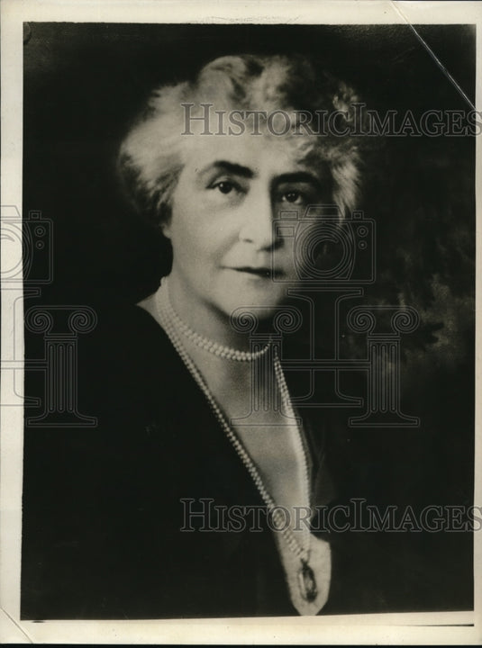 1930 Press Photo The friends of the Museum of Belancourt will stand with a group