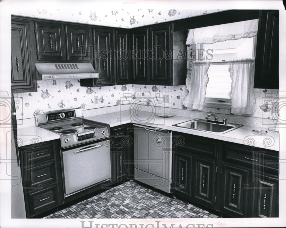 1968 Press Photo American Kitchen