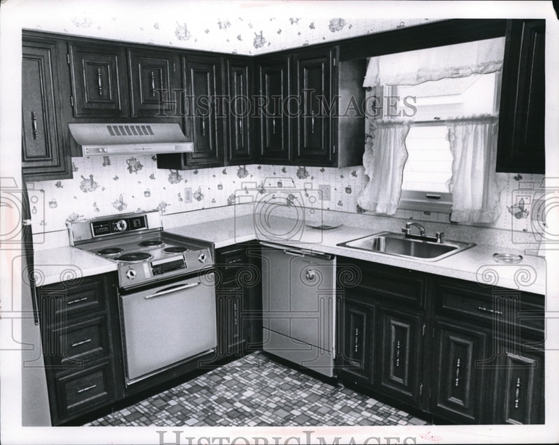 Load image into Gallery viewer, 1968 Press Photo American Kitchen
