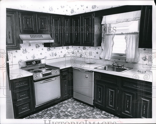 1968 Press Photo American Kitchen