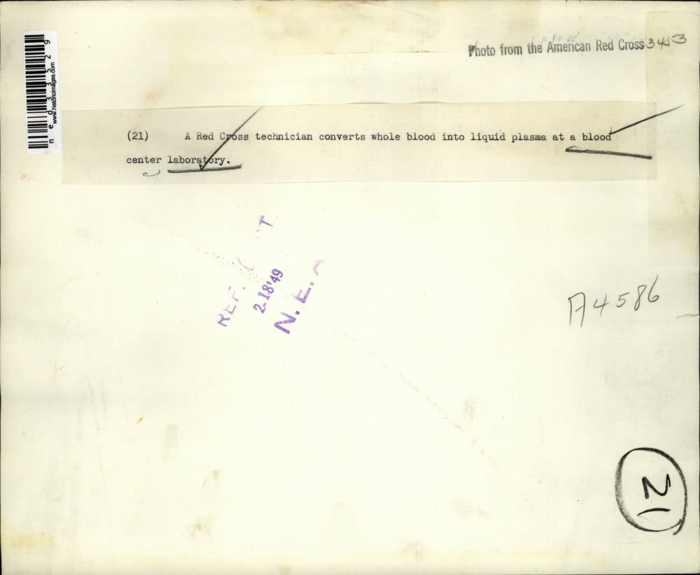 1949 Press Photo Red Cross Technician Converts Blood Into Plasma