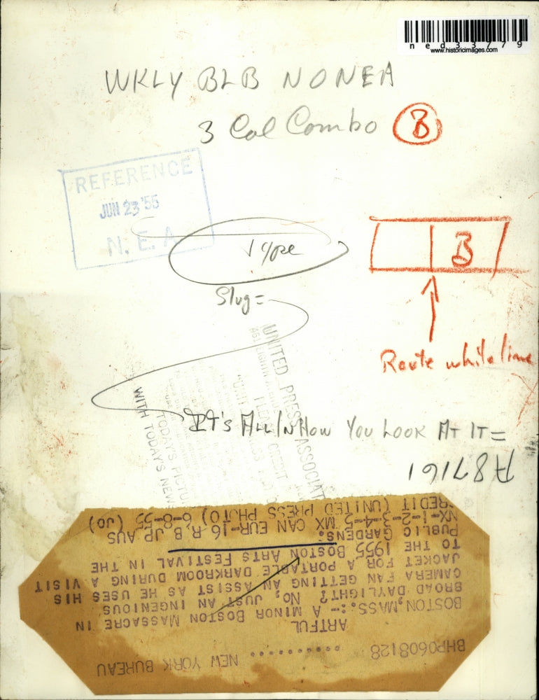 1955 Press Photo Boston Arts Festival in Boston, Massachusetts