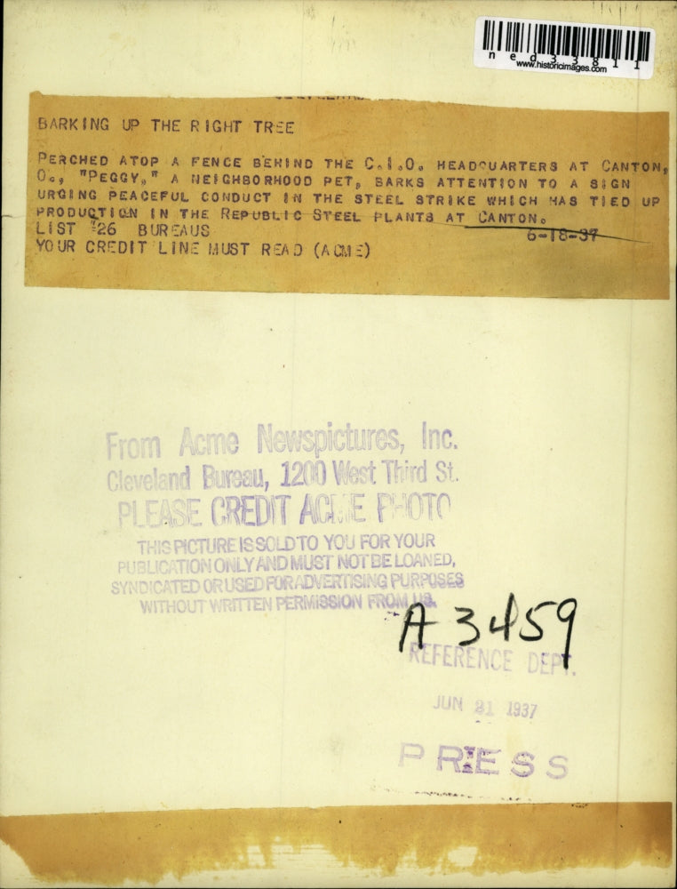 1937 Press Photo Dog, "Peggy", barks to a peaceful conduct sign