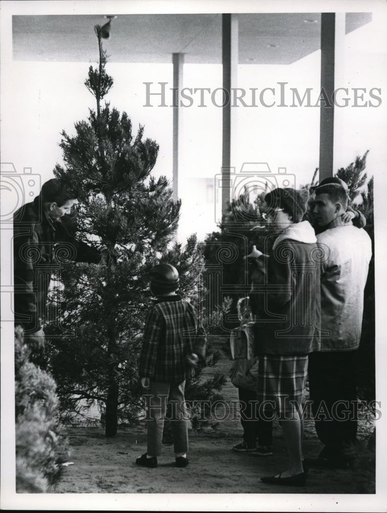 1964 Press Photo Family makes tree selection at Sears Southland