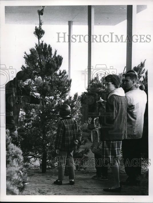 1964 Press Photo Family makes tree selection at Sears Southland