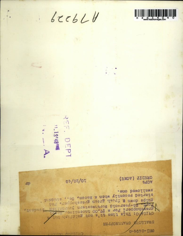 1948 Press Photo Chicago this time its not a goldfish but a grasshopper, for a