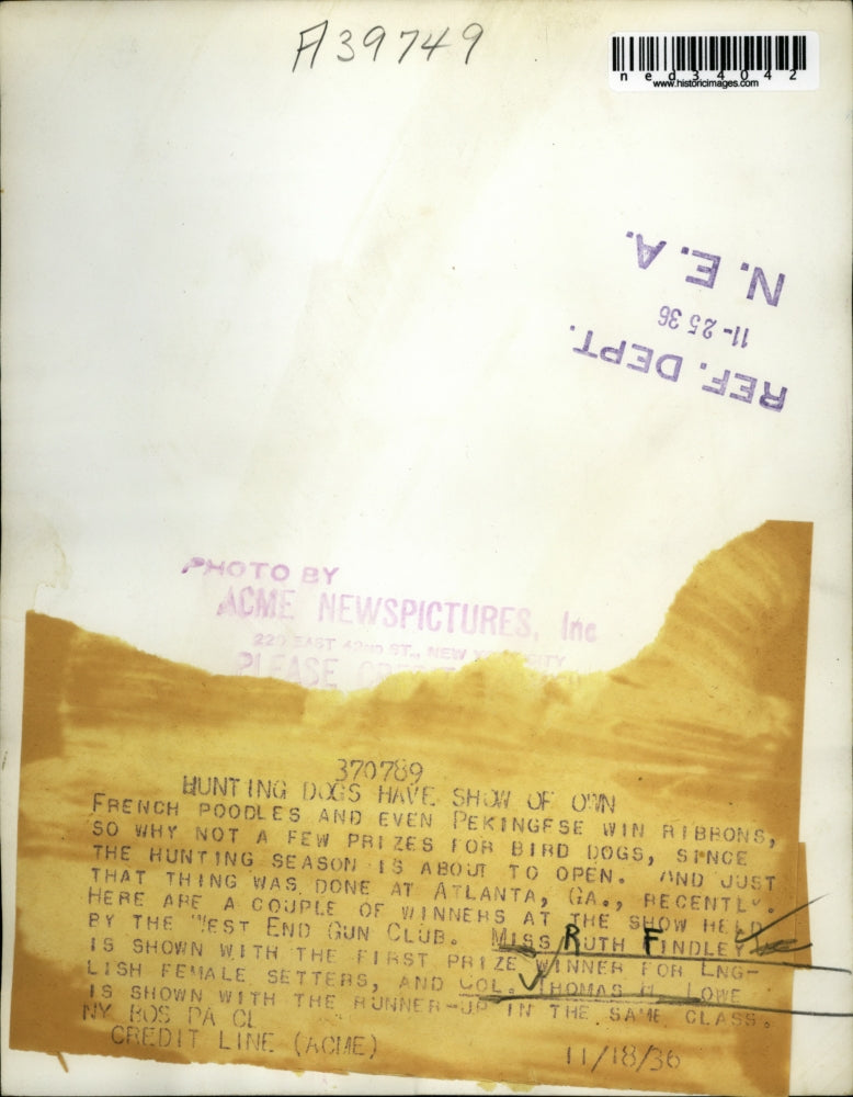 1936 Press Photo French Poodles and even Pekeingese win ribbons so why not Bird