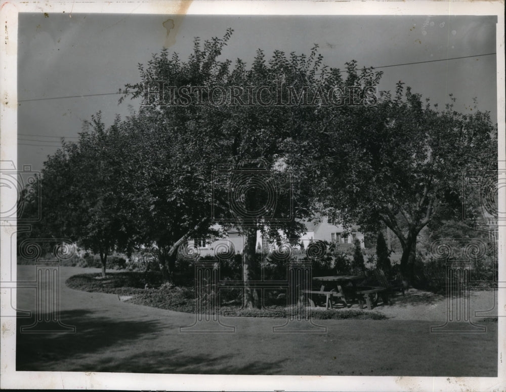 1952 Press Photo Picnic area in back yard garden at home of Mr & Mrs William