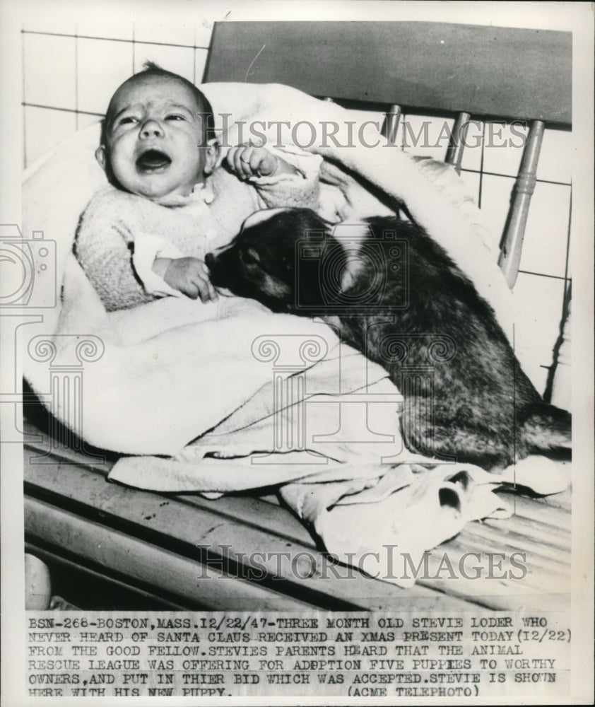 1947 Press Photo Three month old Stevie Loder with new puppey