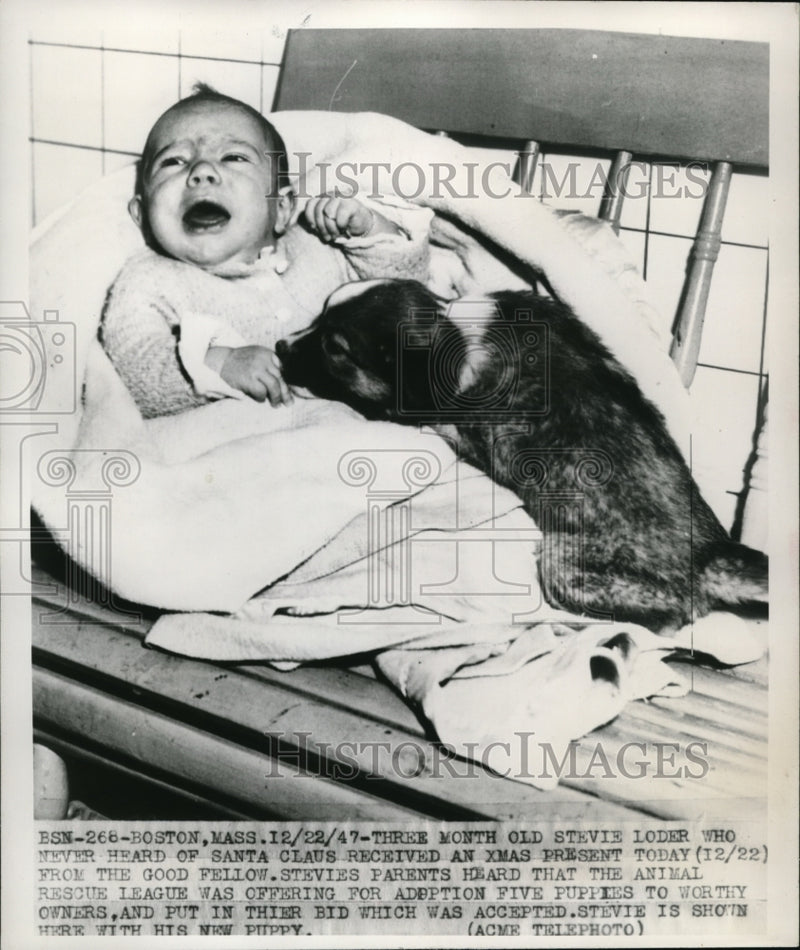 Load image into Gallery viewer, 1947 Press Photo Three month old Stevie Loder with new puppey
