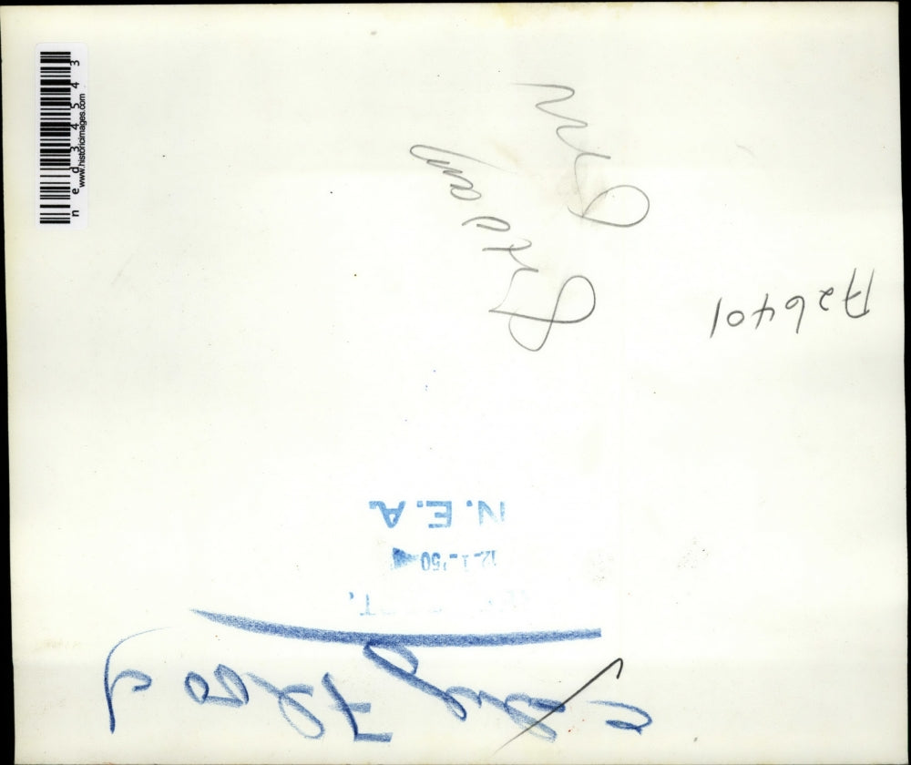 1950 Press Photo White face beef cattle drowned in Calif. Central Valley