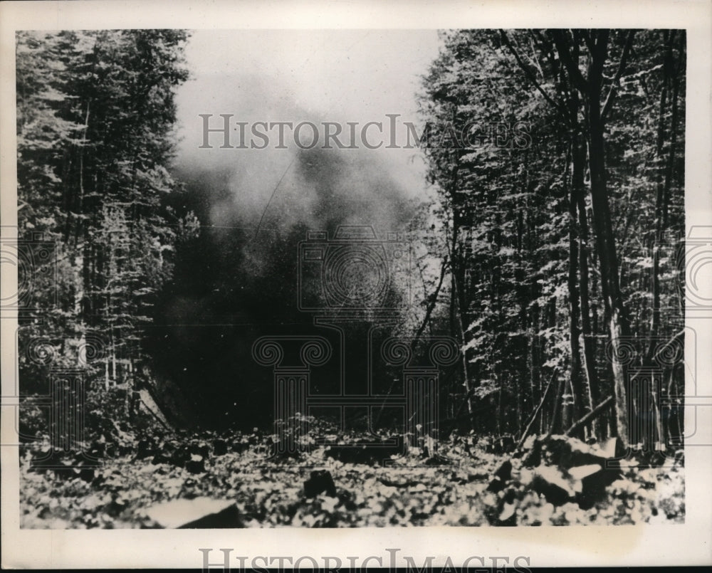 1939 Press Photo German artillery barrage in Germany