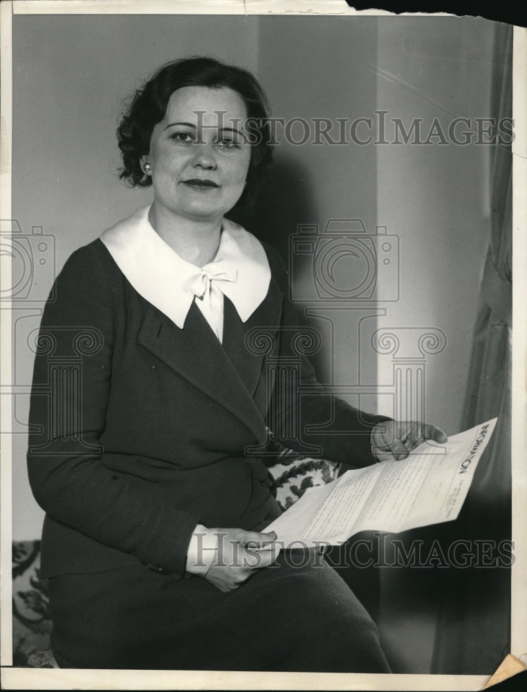 1933 Press Photo Mrs. Frieda Mooney Rallies Women to Aid War Veterans