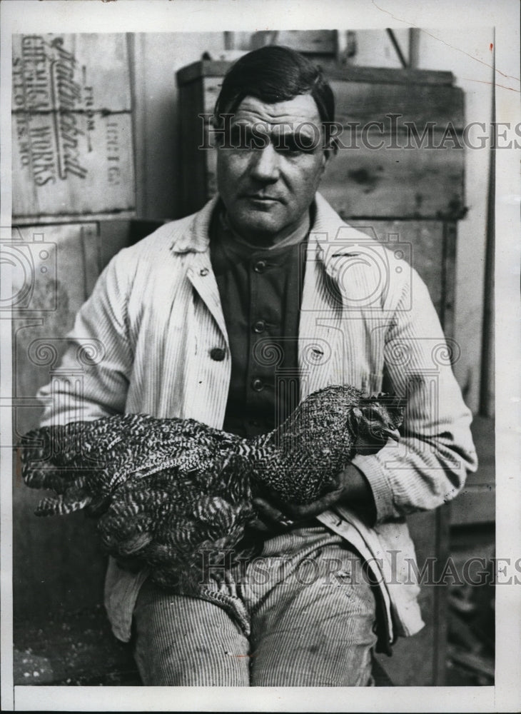 1934 Press Photo Rooster Wingless Science Smithsonian Robert Lambert Washington