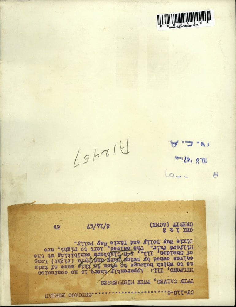 1927 Press Photo Mary and Myra Long Exhibit Twin Calves At Milford Fair