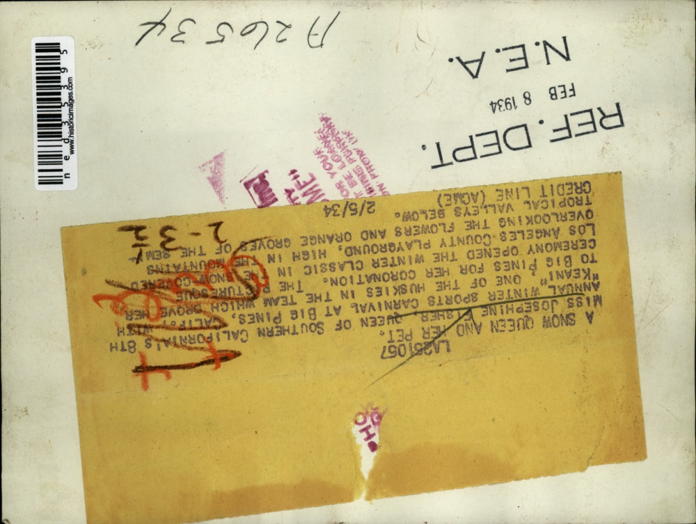 1934 Press Photo Keani, one of the huskies in the team with