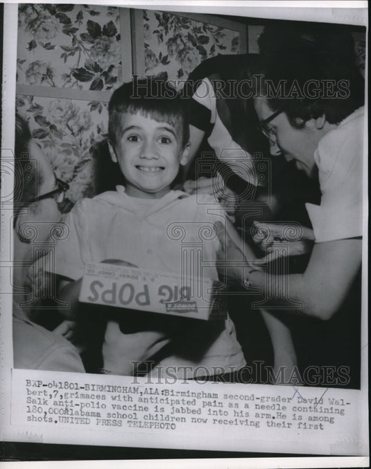 1955 Press Photo Birmingham second grader David Walbert, 7 - ned35868