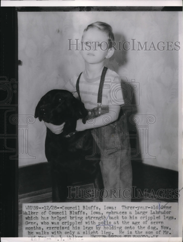 1955 Press Photo Gene Walker embraces a large Labrador
