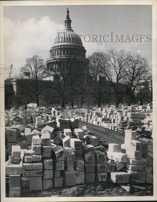 1959 Press Photo Washington an unusual graveyard effect is achieved by these