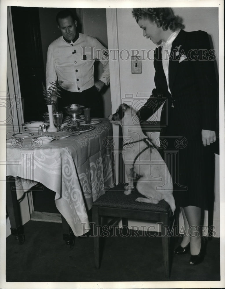 Load image into Gallery viewer, 1941 Press Photo Laddie Impatiently Waiting the Arrival of his Dinner
