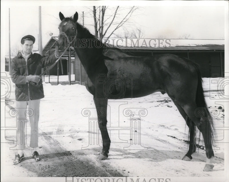 Load image into Gallery viewer, 1960 Press Photo Trainer Fred Hammon and the good four year old Tom fool colt
