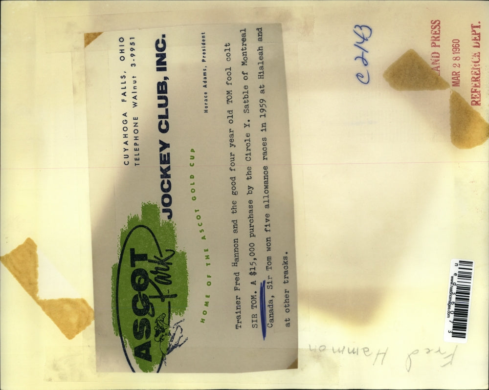 1960 Press Photo Trainer Fred Hammon and the good four year old Tom fool colt