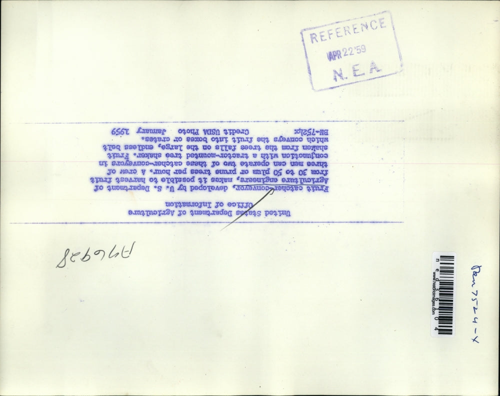 1959 Press Photo fruit catcher conveyor developed by USDA engineers makes it