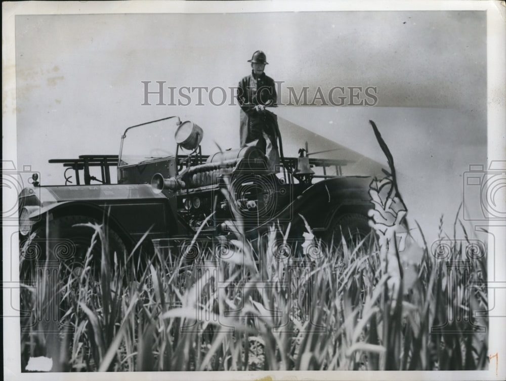 1949 Press Photo Fire Engine used to his water Gladioli