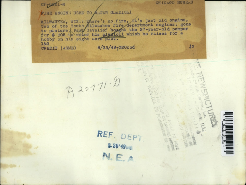 1949 Press Photo Fire Engine used to his water Gladioli