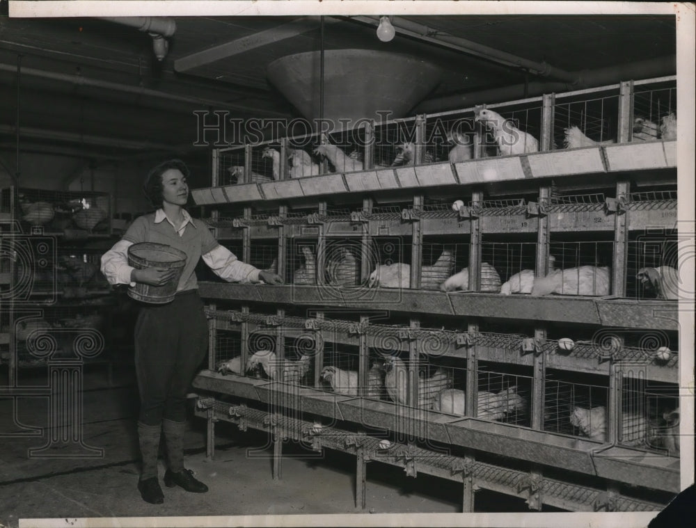 1937 Press Photo An egg Factory in the heart of Chicago, Miss Virginia Bond