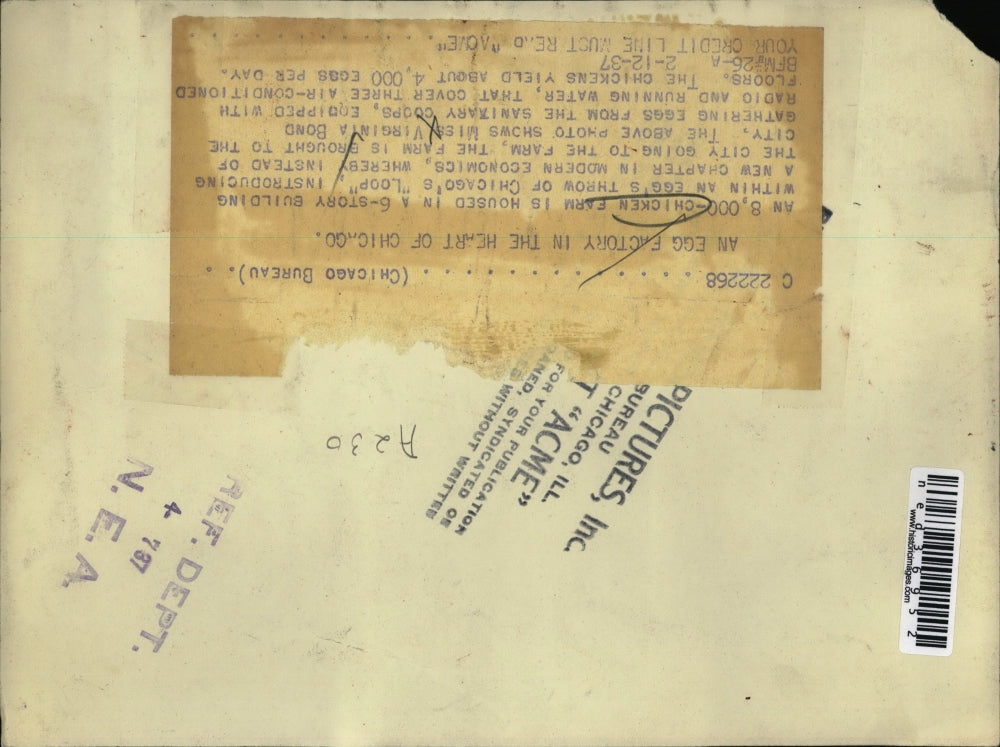 1937 Press Photo An egg Factory in the heart of Chicago, Miss Virginia Bond