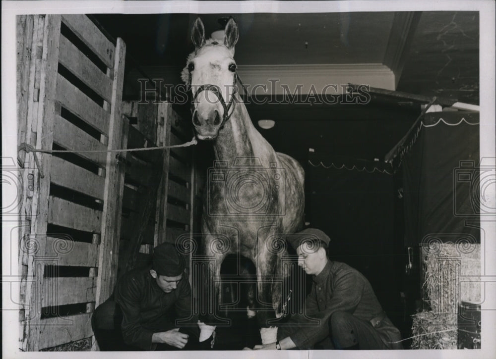 1937 Press Photo Grooms "mother" Army horses at show those spirited prima donnas