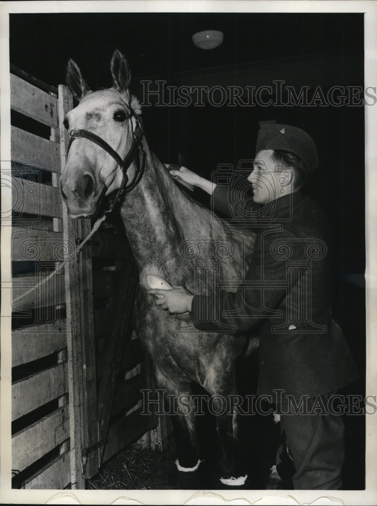 Load image into Gallery viewer, 1937 Press Photo Private Edward Schuurman while grooming "Silver Star."
