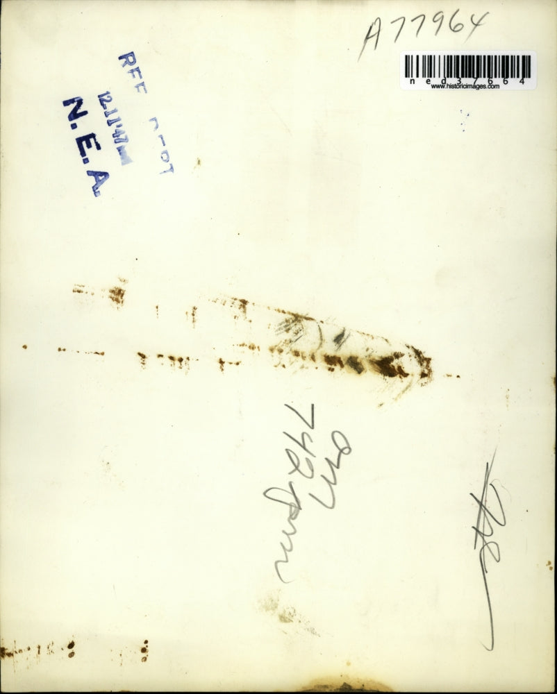 1947 Press Photo Peter Burtt pictured after paddling 6,000 miles from west coast