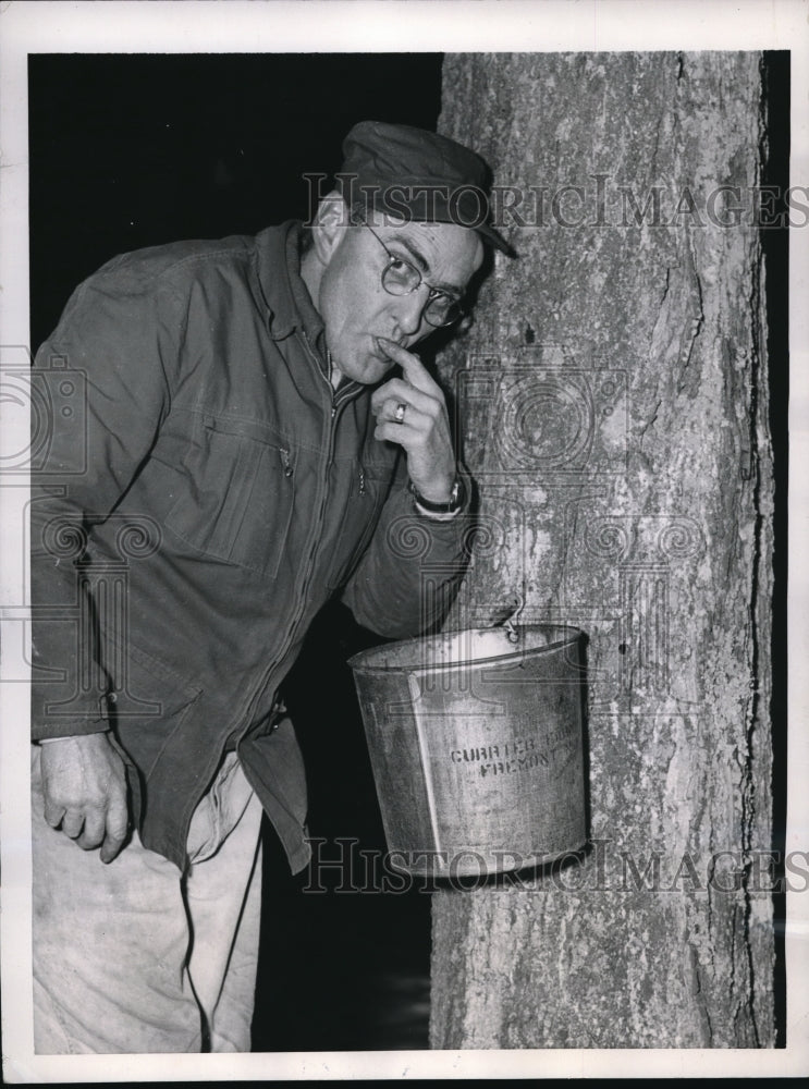 1953 Press Photo Farmer Rudolph Currier, samples maple sap