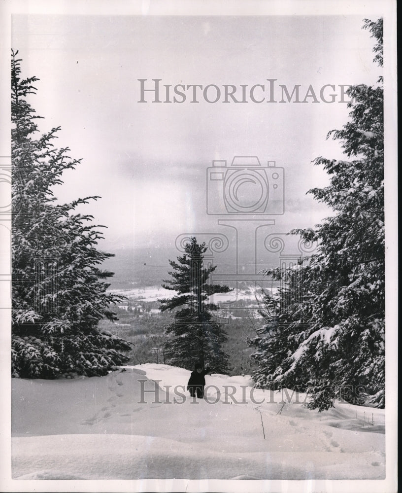 1954 Press Photo North Conway N.H. tiny Eric Sheldon, 3 of Needham Mass is dwarf