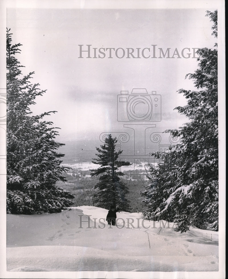 Load image into Gallery viewer, 1954 Press Photo North Conway N.H. tiny Eric Sheldon, 3 of Needham Mass is dwarf
