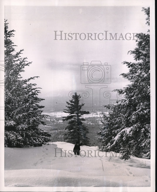 1954 Press Photo North Conway N.H. tiny Eric Sheldon, 3 of Needham Mass is dwarf